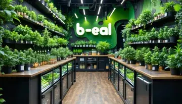 B-Real Brings Dr. Greenthumb's Brand Into Arizona Through Exclusive Dispensary Deal